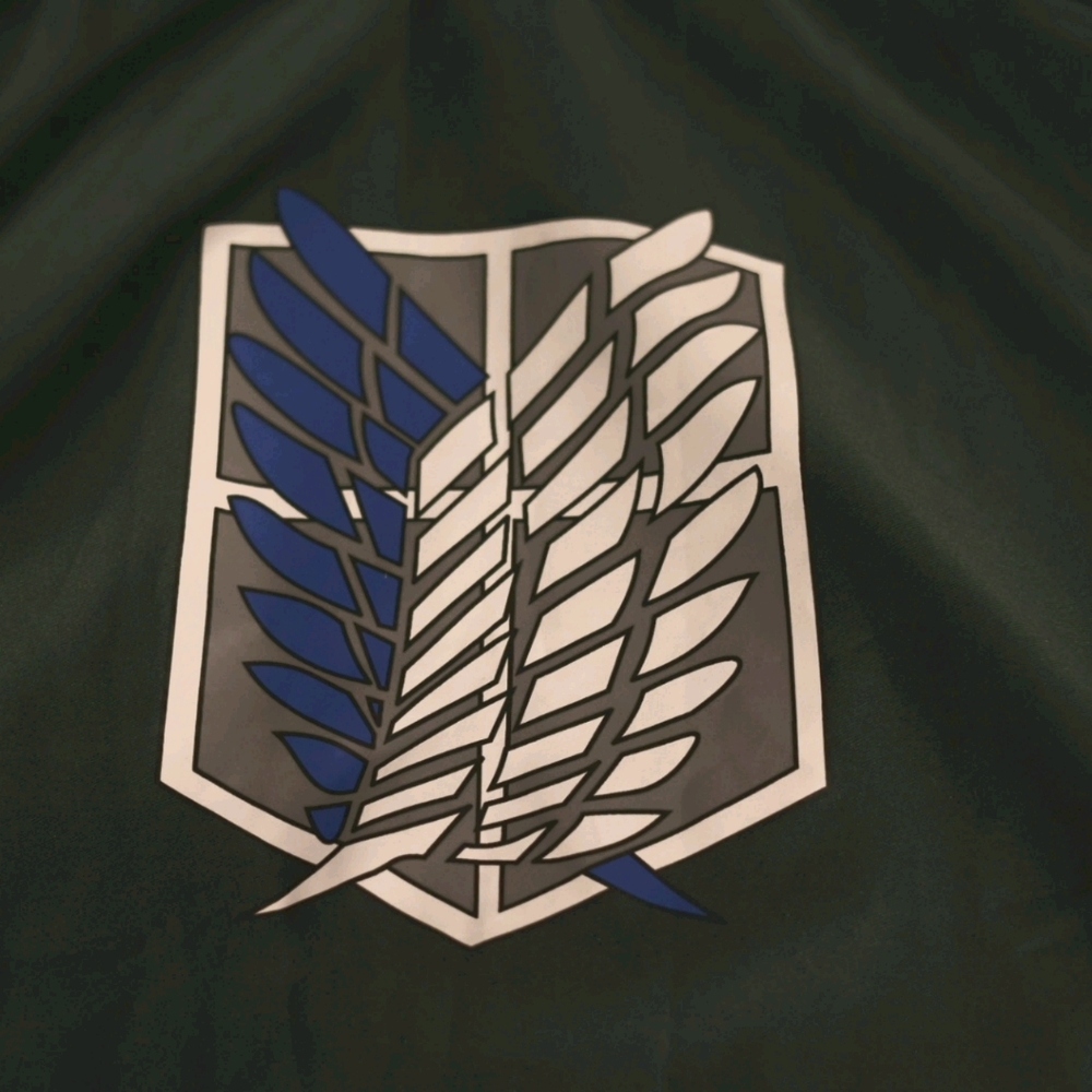 Attack on titan cape